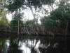 rio_longa (65).JPG